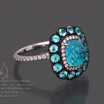 Mege_AGTA_color